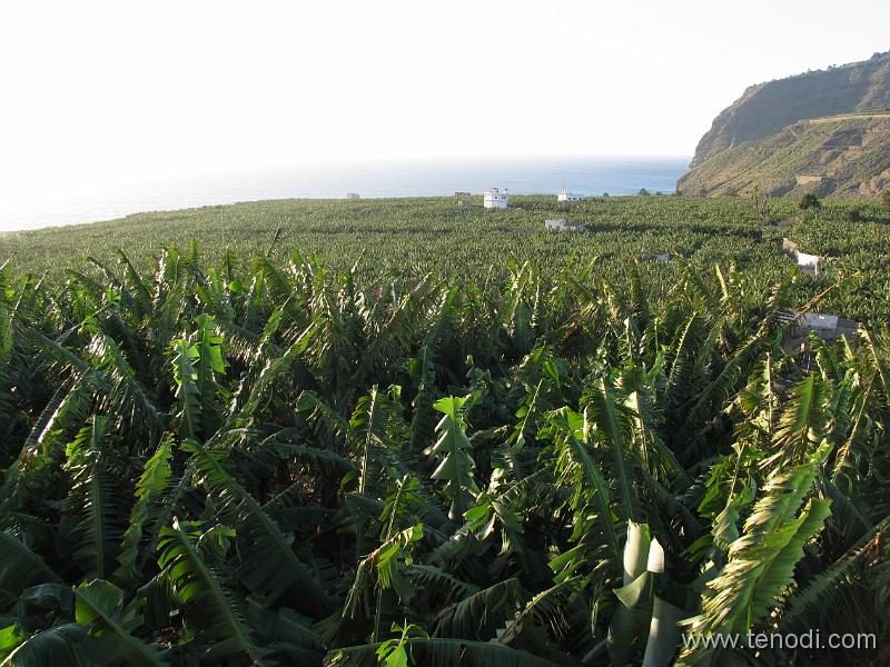 LaPalma (029).JPG